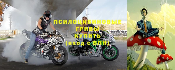 гашик Нефтекумск